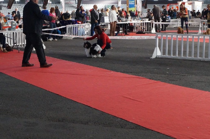 De La Jaminerie - Expo internationale Poitiers